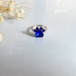 Paw Print Birthstone Rings