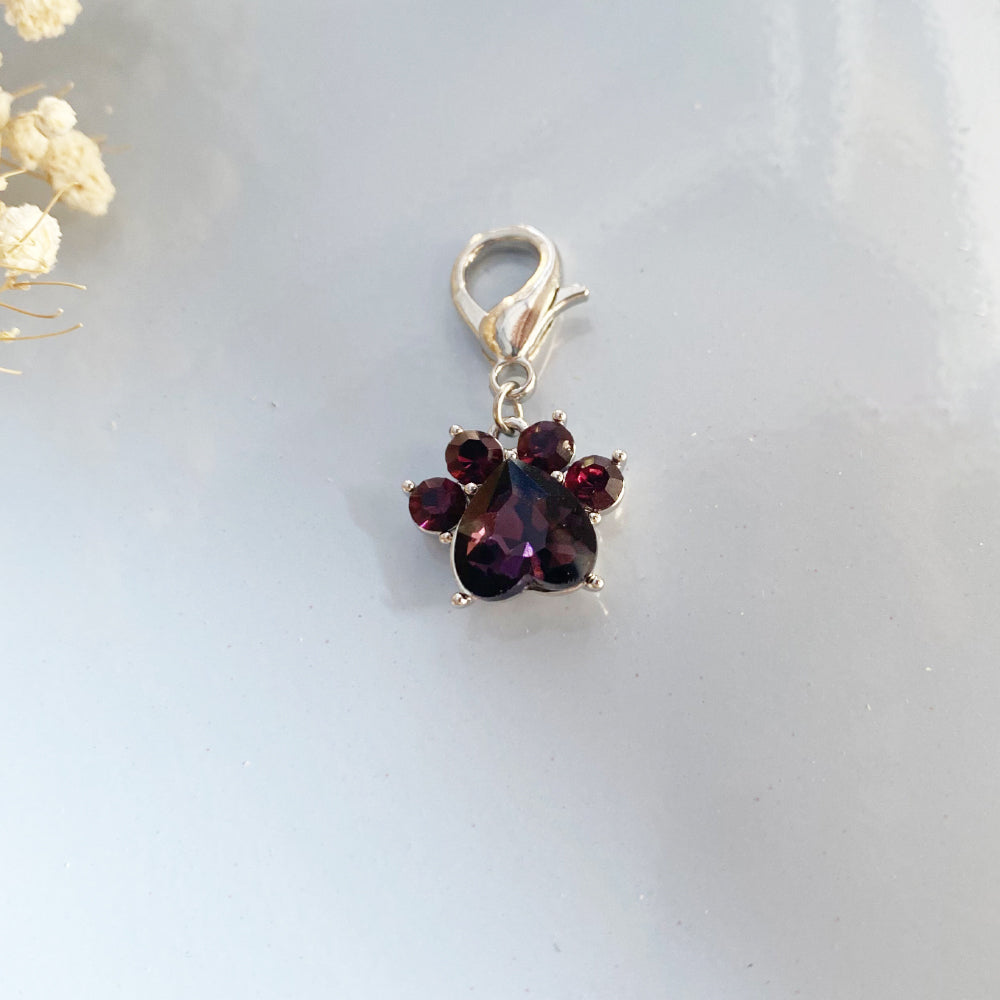 Paw Print Birthstone Keychains