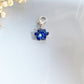 Paw Print Birthstone Keychains