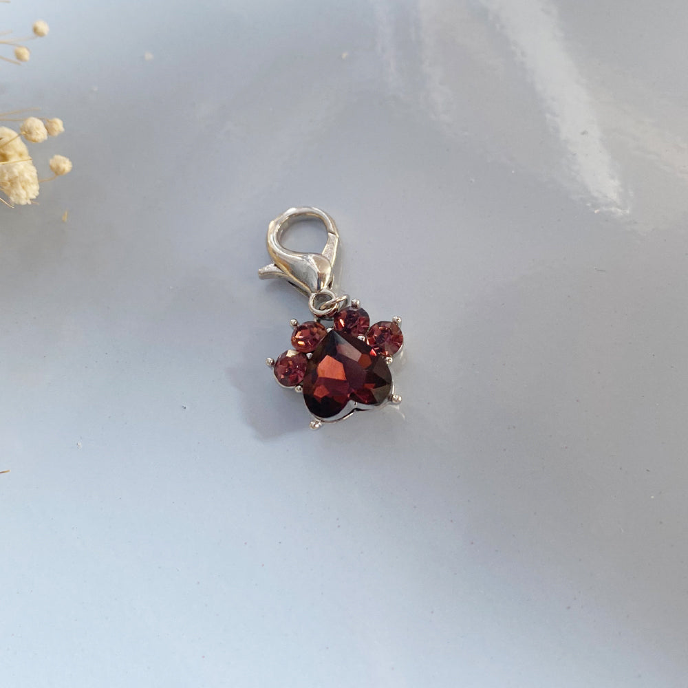 Paw Print Birthstone Keychains