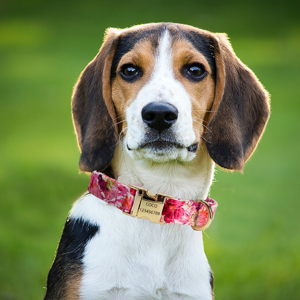 Floral Pearl Dog Collar & Leash