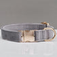 Velvet Dog Collar & Leash