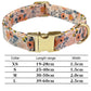 Floral Pearl Dog Collar & Leash