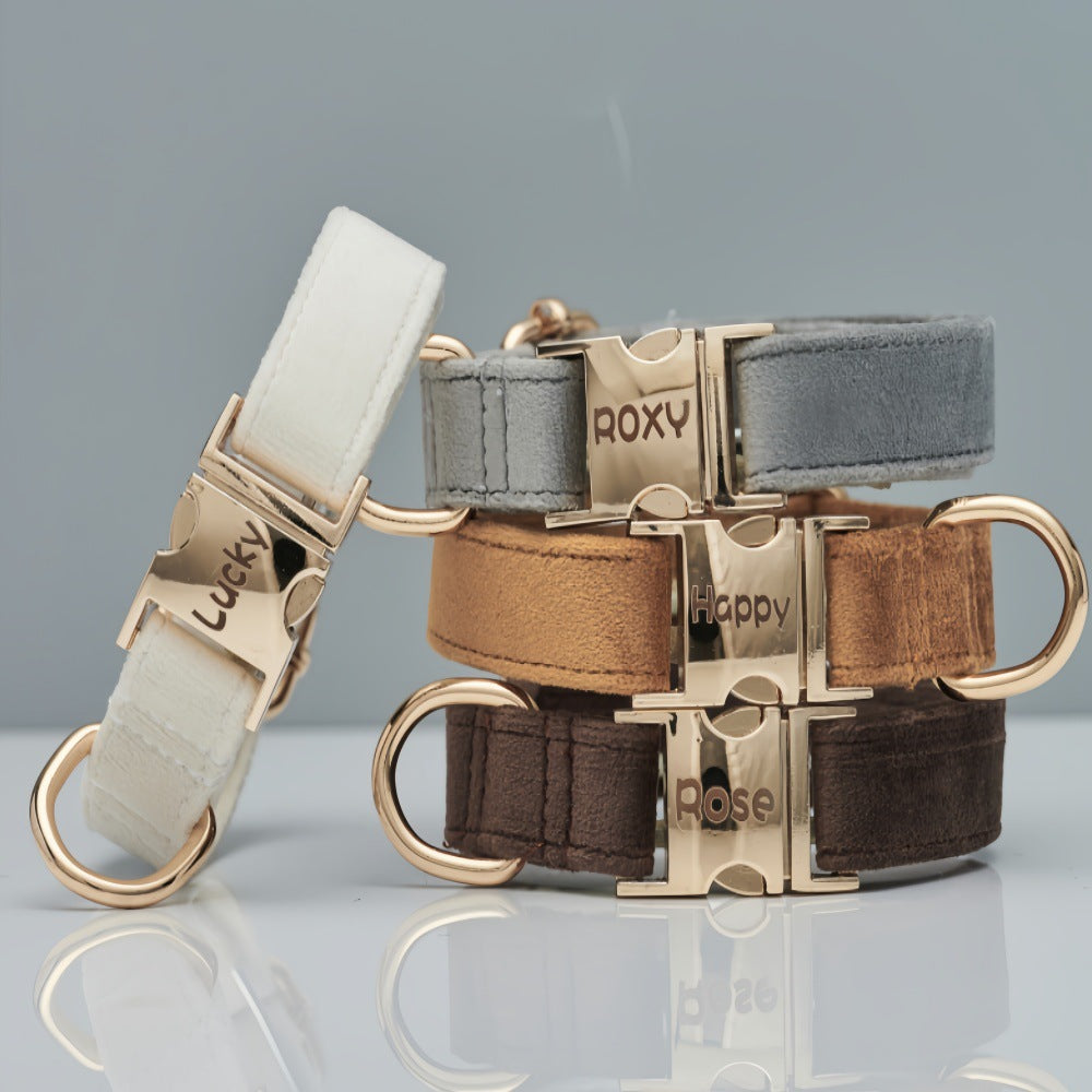 Velvet Dog Collar & Leash
