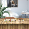 Summer Fruit Collar and Bracelet Set